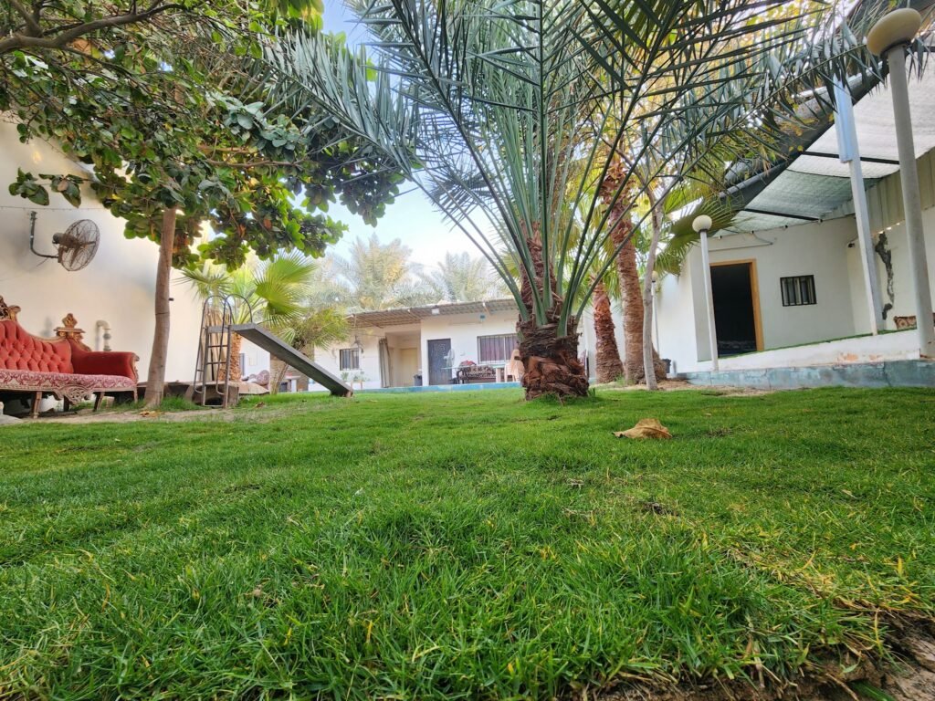 استراحة لمة أهل البطالية شاليهات واستراحات السعودية