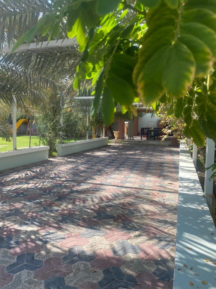 استراحة وقاعة اصايل البطالية شاليهات واستراحات السعودية