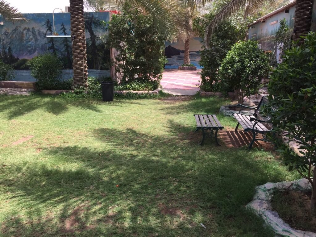 استراحة دلوني المبرز شاليهات واستراحات السعودية