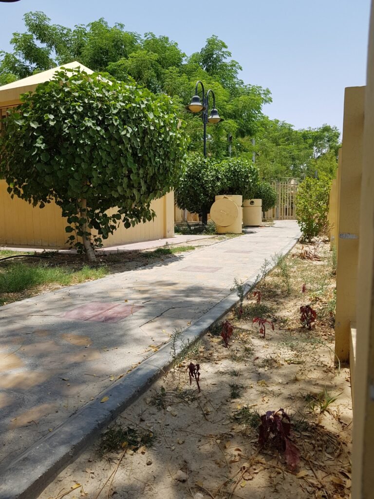 استراحة الفيحاء للمناسبات والافراح المبرز شاليهات واستراحات السعودية