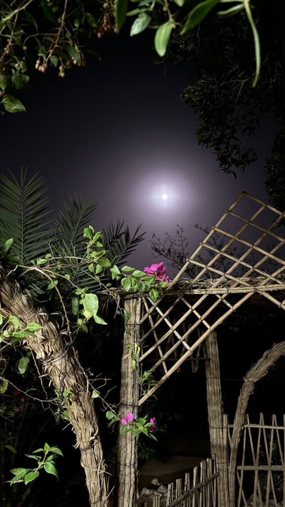 استراحة المسرة للإيجار اليومي البكيرية شاليهات واستراحات السعودية