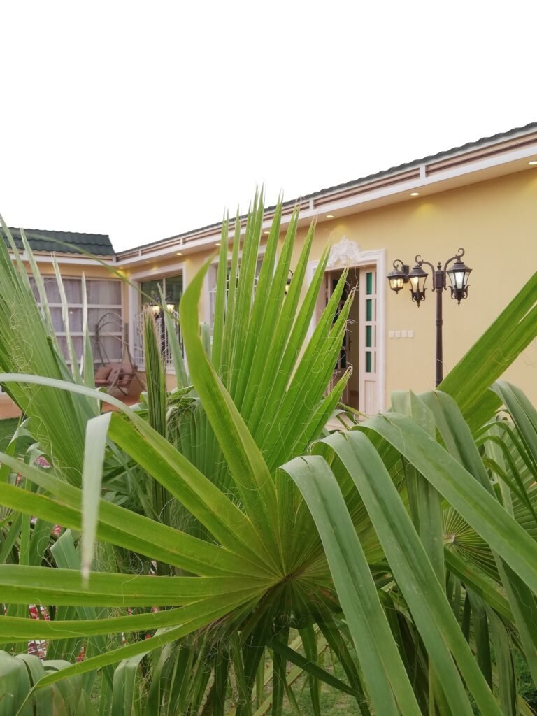 استراحة المناخ بيشة شاليهات واستراحات السعودية