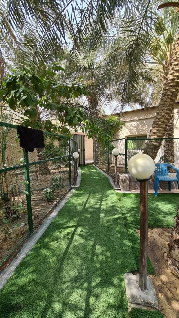 استراحة بروج للايجار اليومي الاحساء الهفوف شاليهات واستراحات السعودية