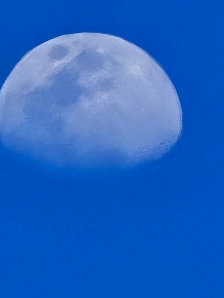 استراحة ق wedn خميس مشيط شاليهات واستراحات السعودية