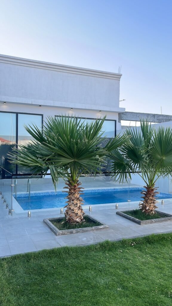 شاليهات تربل أي شاليهات واستراحات السعودية