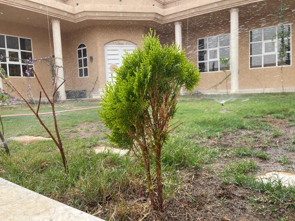 استراحة اللوز عرعر شاليهات واستراحات السعودية