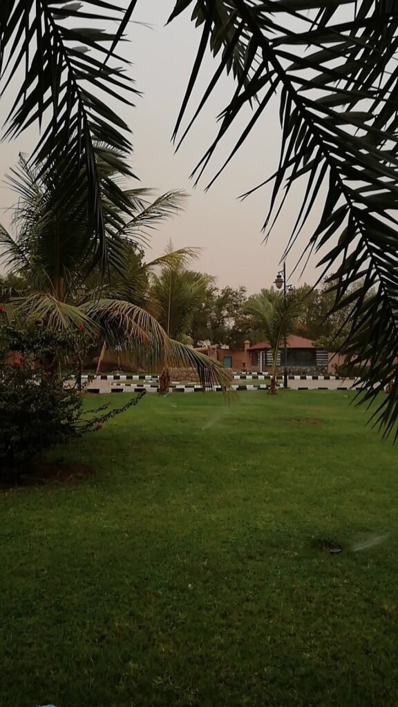 استراحة الشلال صبيا صبيا شاليهات واستراحات السعودية