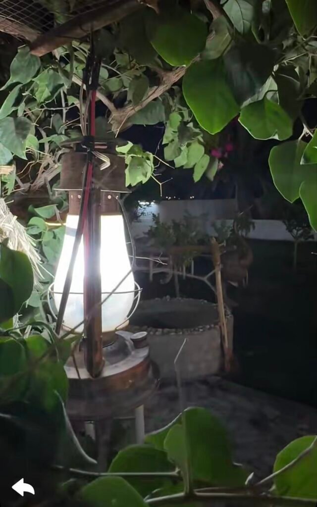 استراحة واسطبل بيزارو نجران شاليهات واستراحات السعودية