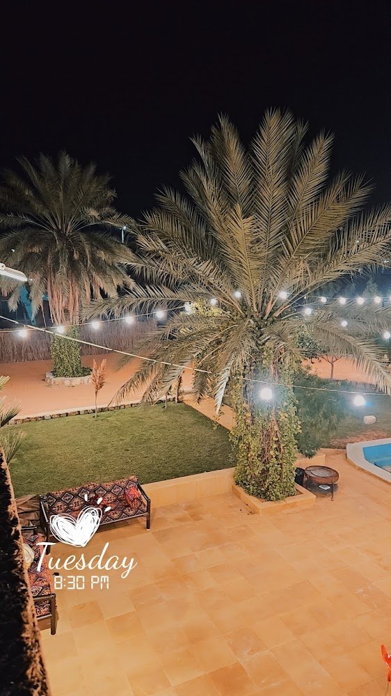 استراحه الحمراء البكيريه البكيرية شاليهات واستراحات السعودية